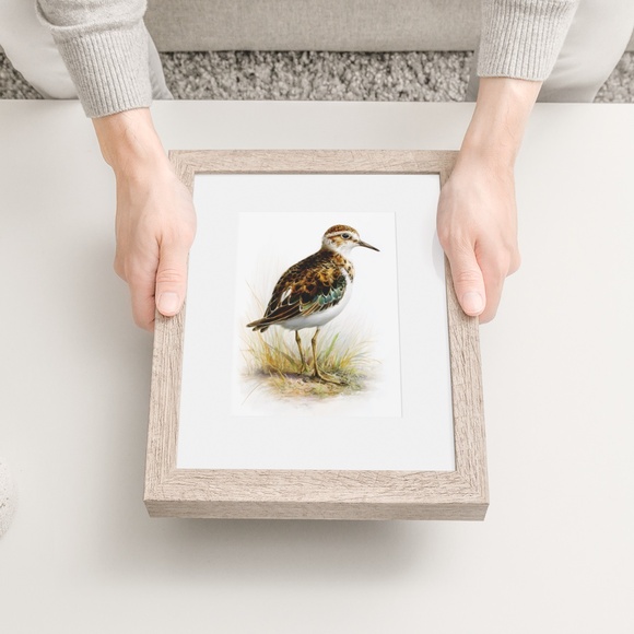 Watercolor Sandpiper Bird Portrait Wall Art Print, Unframed - Coastal Serenity - Picture 6 of 7